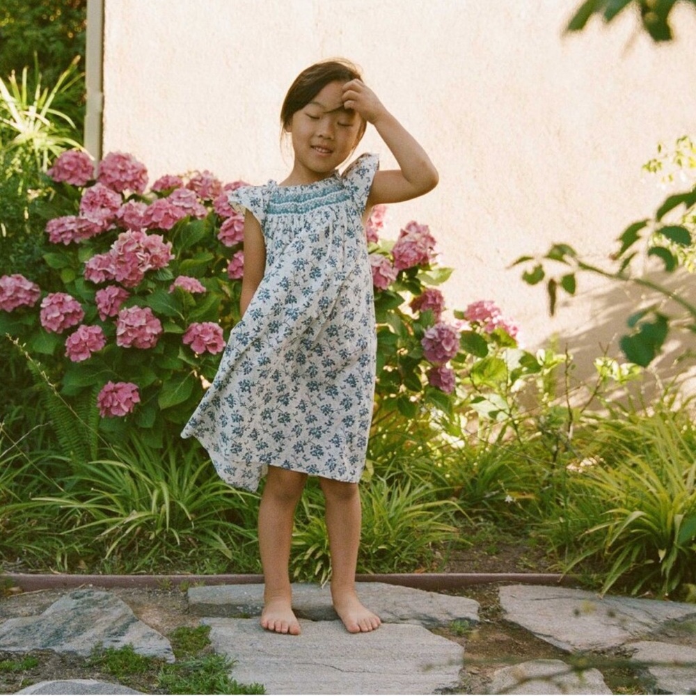 Doen girls Abbott Dress in Songbird Toile